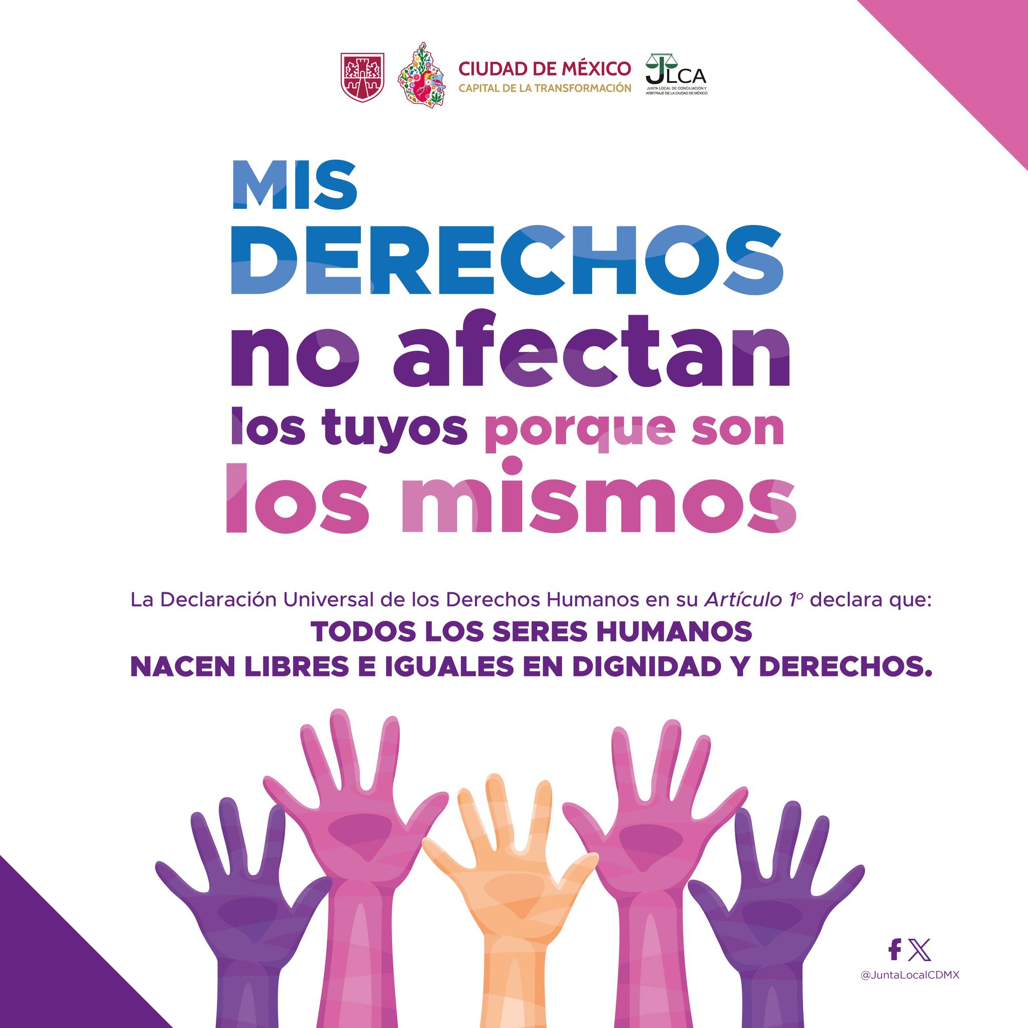Publicación 5